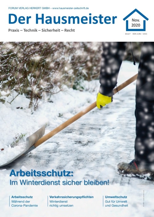 Ausgabe November 2020 Arbeitsschutz im Winterdienst