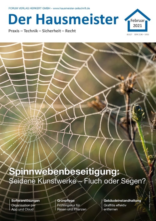 Ausgabe Februar 2021 Spinnwebenbeseitigung